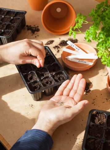 Workshop: Seed starting with Connie