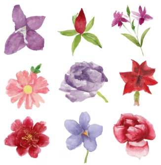 Watercolor Workshop: Real Flower Painting