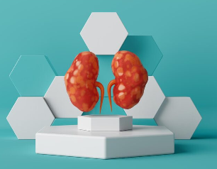 Presentation: Kidney Health and Kidney foundation